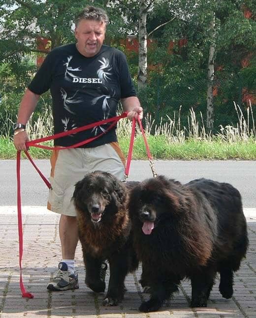 Baldur Kranz mit zwei Gästen an der Leine