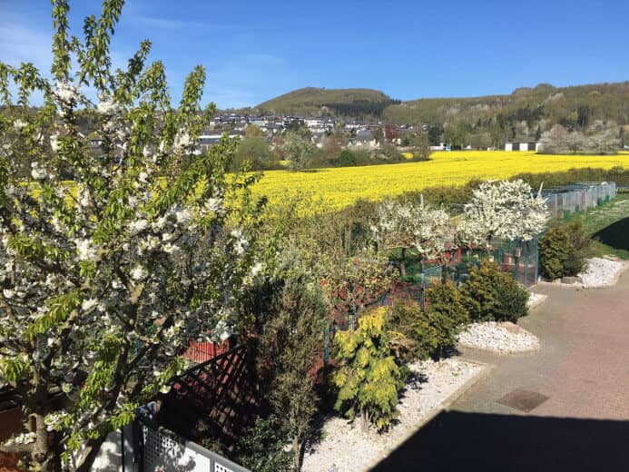 Blick über blühende Felder rund um Nickenich